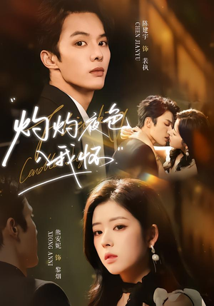 灼灼夜色入我怀（60集）全集免费观看