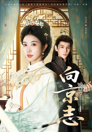 向京志（80集）短剧小说在线看