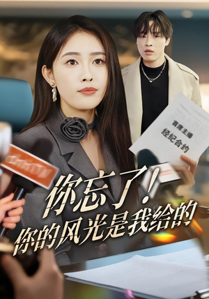 你忘了！你的风光是我给的（51集）百度网盘资源
