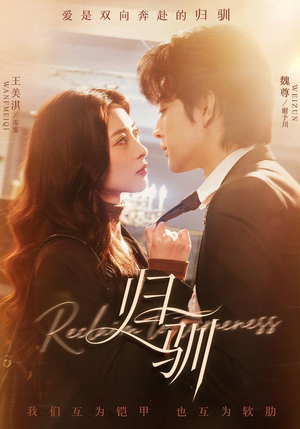 归驯（82集）精彩短剧后续