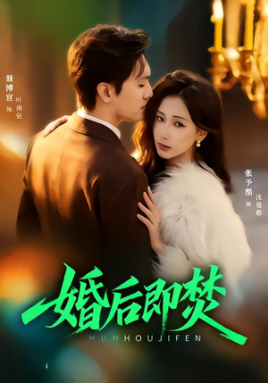婚后即焚（77集）免费观看完整版
