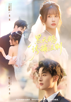 黑天鹅诱捕法册(80集) 黑天鹅诱捕法册(80集)亿万短剧抢先看