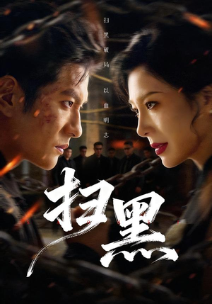 扫黑(70集) 扫黑(70集)大结局太过瘾了