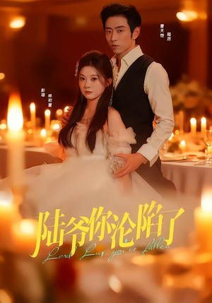 陆爷你沦陷了(78集) 陆爷你沦陷了(78集)最后一集