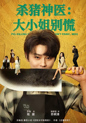 杀猪神医，大小姐别慌（80集）看精彩短剧