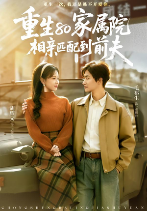 重生80家属院，相亲匹配到前夫（77集）全集免费