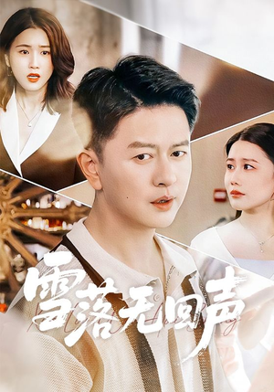 雪落无回声（60集）网盘在线观看