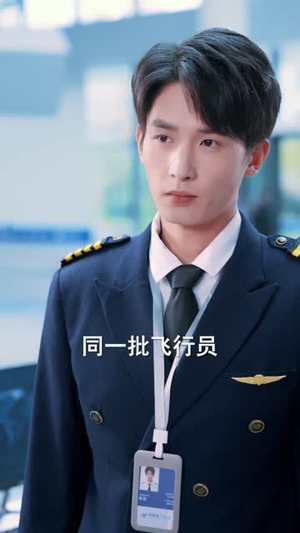 停飞后，我的航班坠毁了（100集）热门火爆短剧