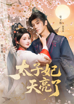 太子妃天亮了（80集）越看越好看短剧