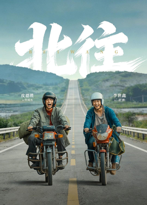 北往（61集）短剧每日分享