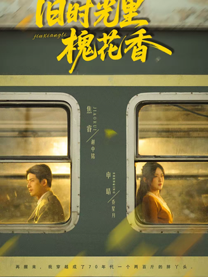 旧时光里槐花香(70集) 旧时光里槐花香(70集)热门短剧又来了