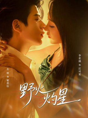 野火灼星（56集）最新热播短剧