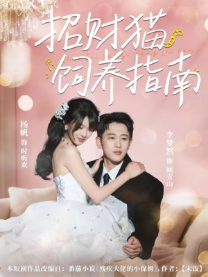 招财猫饲养指南(92集) 招财猫饲养指南(92集)完整版
