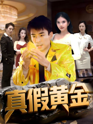 真假黄金(62集) 真假黄金(62集)在线观看全集
