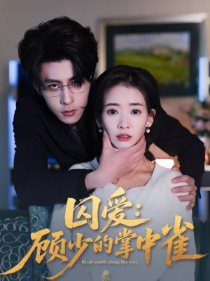 囚爱：顾少的掌中雀（70集）短剧上头又好看