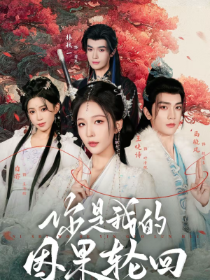 你是我的因果轮回（100集）短剧越看越精彩