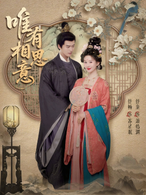 唯有相思意(100集) 唯有相思意(100集)热门短剧抢先