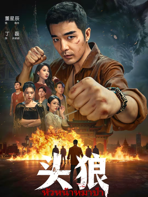 头狼(77集) 头狼(77集)海量短剧免费看