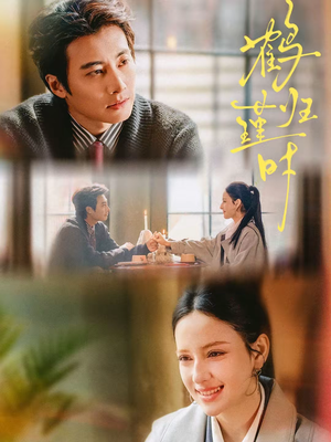 鹤归瑾时(81集) 鹤归瑾时(81集)完整版免费观看