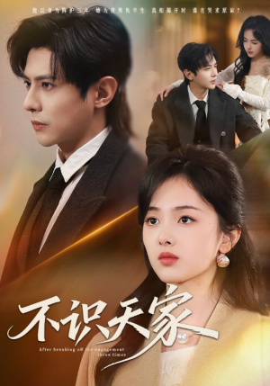 不识天家（69集）最火短剧推荐