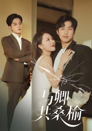 与卿共桑榆（63集）热播短剧免费看