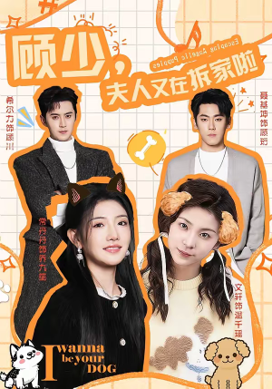 顾少，夫人又在拆家啦（78集）一口气追完全集