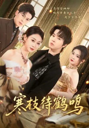 寒枝待鹤鸣(70集) 寒枝待鹤鸣(70集)全集下载