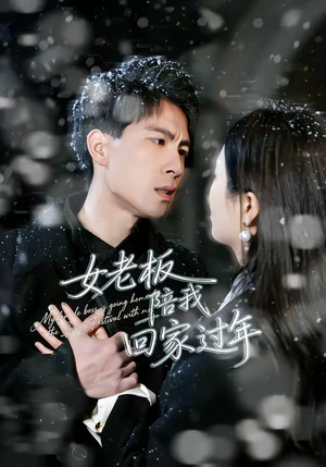 女老板陪我回家过年(40集) 女老板陪我回家过年(40集)短剧全集更精彩