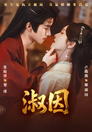 淑因（65集）精彩短剧来袭