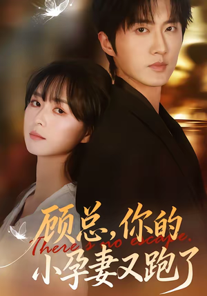 顾总,你的小孕妻又跑了(47集) 顾总,你的小孕妻又跑了(47集)在哪个平台能看