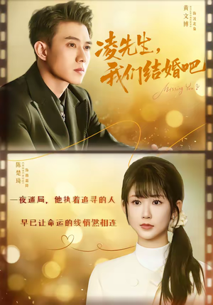 凌先生，我们结婚吧（68集）免费观看全集