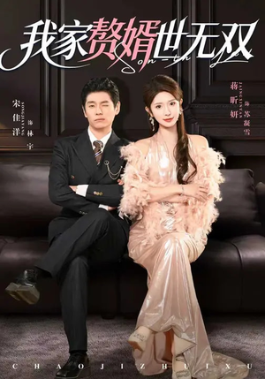 我家赘婿世无双（73集）精彩短剧免费看