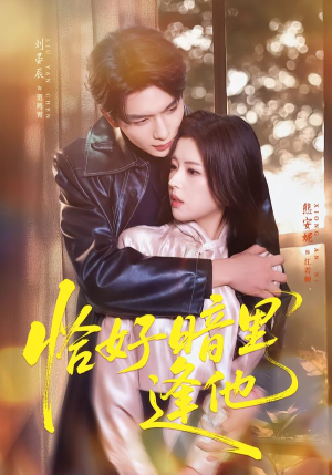 恰好暗里逢他（66集）视频在线看