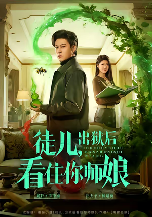 徒儿，出狱后看住你师娘（82集）好看到停不下来