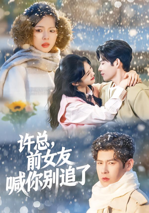许总，前女友喊你别追了（80集）每日短剧推荐
