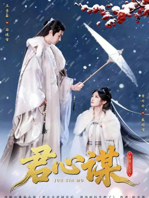 君心谋（80集）好看短剧看不停