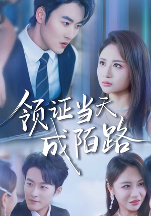 领证当天成陌路（39集）热门短剧榜单