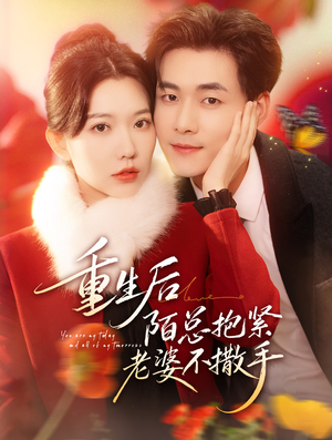 重生后陌总抱紧老婆不撒手（66集）大结局一气呵成