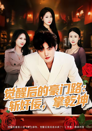 觉醒后的豪门路：斩奸佞掌乾坤（80集）完整版