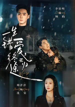 一生错爱，终无归途（74集）好看的短剧