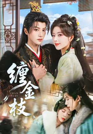 缠金枝（69集）短剧太好看了