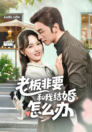 老板非要和我结婚怎么办（50集）在线观看完整版