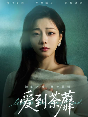 爱到荼蘼（63集）海量短剧免费看