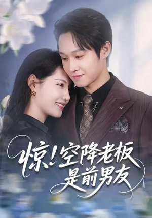 惊!空降老板是前男友(65集) 惊!空降老板是前男友(65集)最火短剧热播