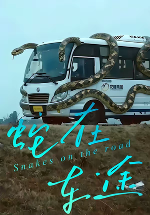 蛇在车途(34集) 蛇在车途(34集)一口气追完短剧