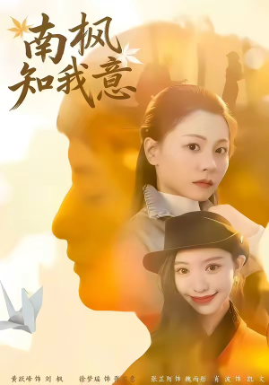 南枫知我意（41集）最新上映免费看