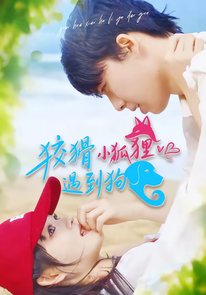 狡猾小狐狸遇到狗（80集）短剧推荐分享