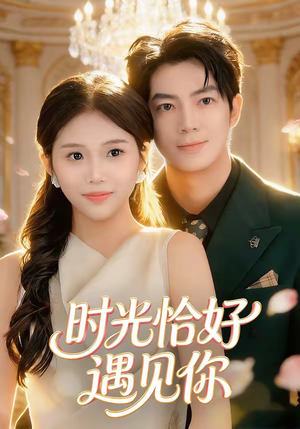 时光恰好遇见你（80集）高分推荐免费看