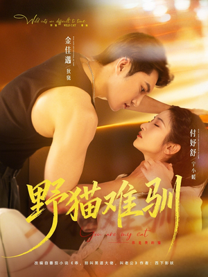 野猫难驯（73集）网盘在线观看