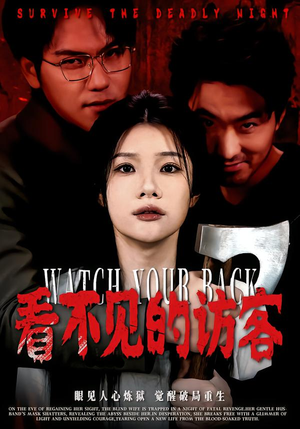 看不见的访客（62集）温柔追捕短剧